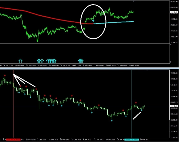 Модифицировал стратегию BTC. Стратегия на двух индикаторах. 100% профит!!!!!!!!