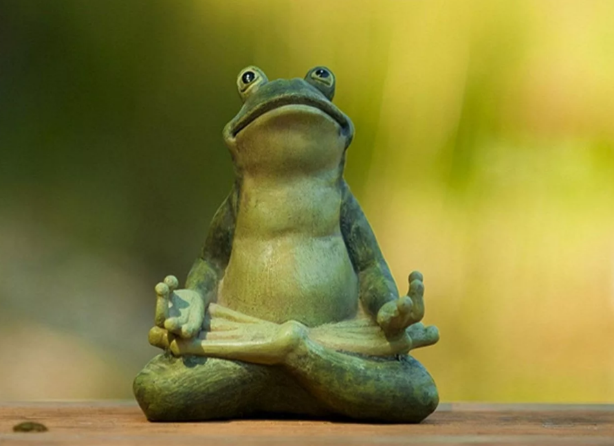 Ловлю дзен. Жаба медитирует. Я лягушка. Лягушка ждет. Медитация Мем.