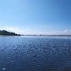 Marcel The-Frenchman