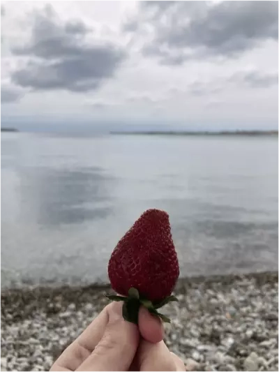 Питер – Геленджик на машине. Вторая часть