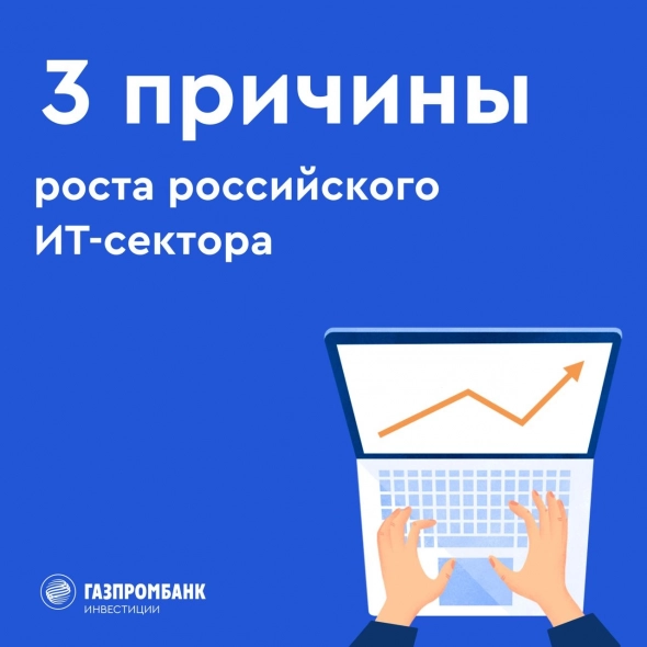 🧑‍💻 3 причины роста российского ИТ-сектора