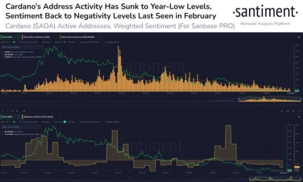 Проект с потенциалом роста 385%: время покупать Cardano?