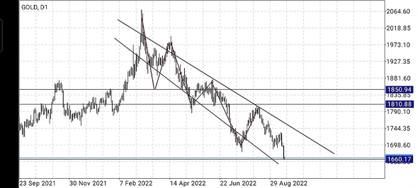 Тук тук, ты куда мой друг! Часть II (золото)