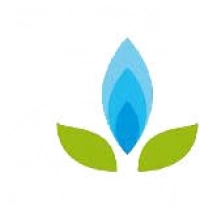 Логотип ГАЗ-сервис