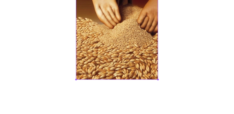 Почему с "зерновой сделкой" всё время что-то не так.