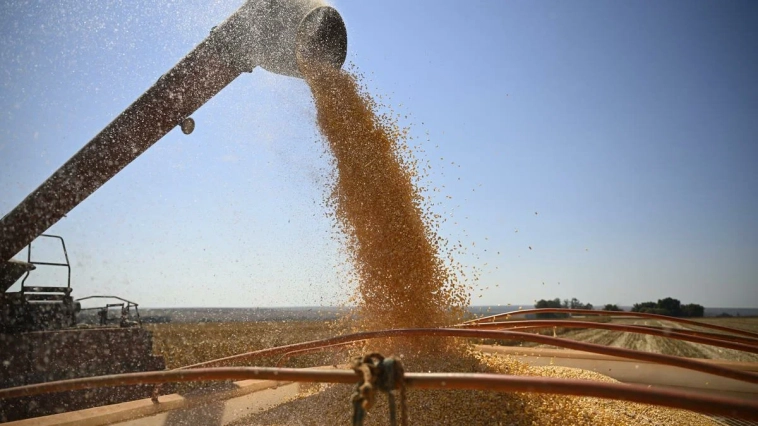 Как СВО и выход РФ из «зерновой сделки» влияют на мировой рынок продовольствия, а также возможные последствия для собственного экспорта РФ.