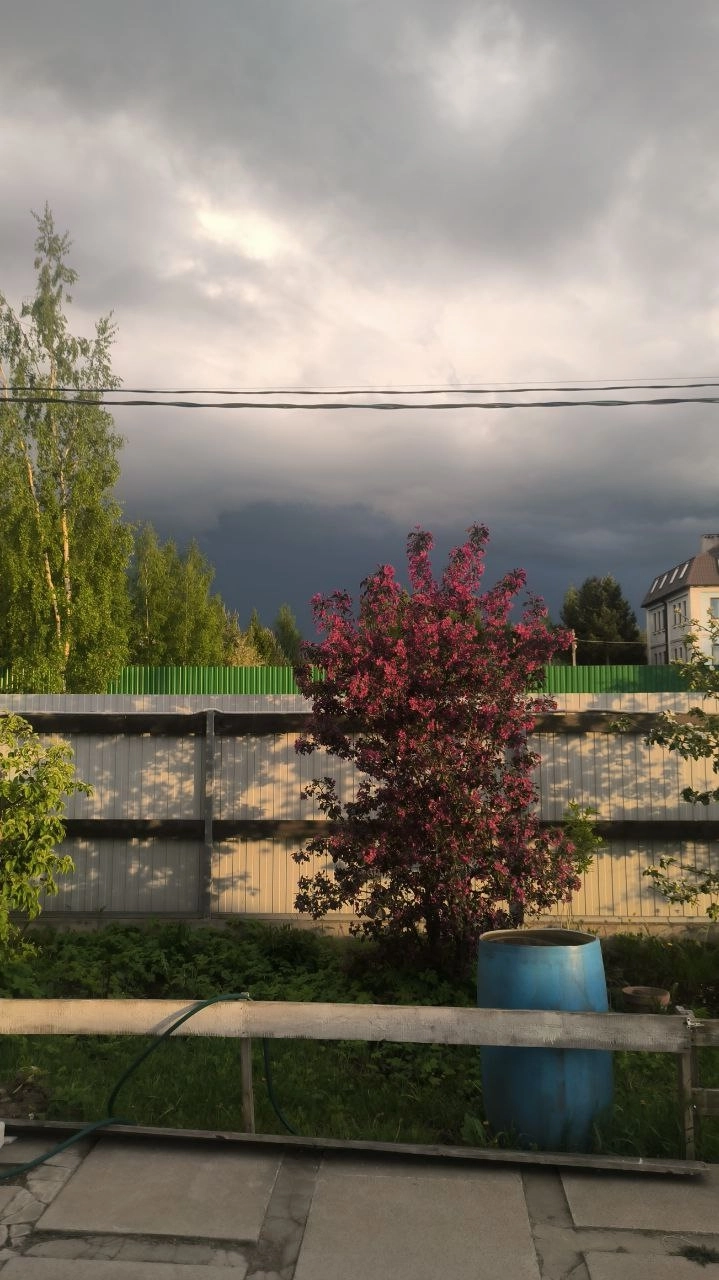 На чем передвигаться трейдеру, если всё бесит? На чем передвигаться трейдеру, если всё бесит?