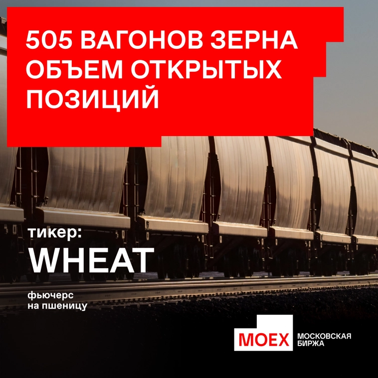 🌾 Объем открытых позиций фьючерсом на пшеницу составил 505 вагонов зерна