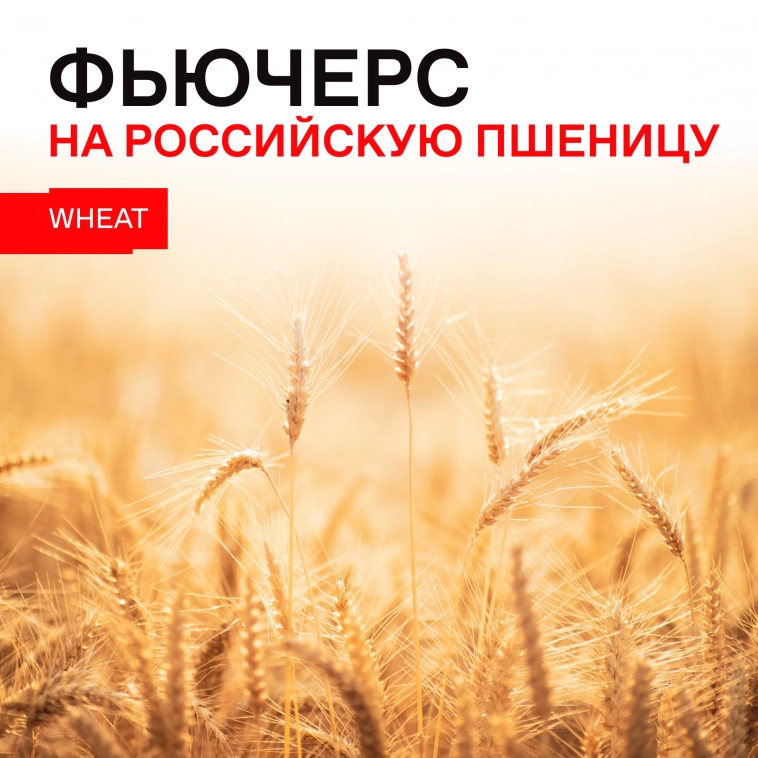 🌾 Подводим итоги года по фьючерсу на российскую пшеницу