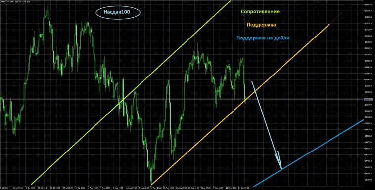 Вводная к открытию недели