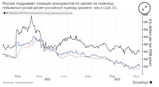 Доля России на мировом рынке зерна растет: в 2023-м году каждая 5-я партия зерна на экспорт будет идти из России — The Bloomberg