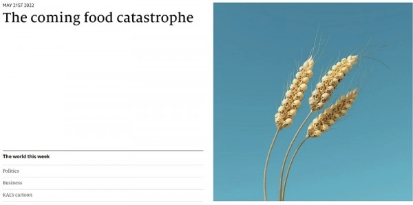 Прогнозирование недавнего краха пшеницы