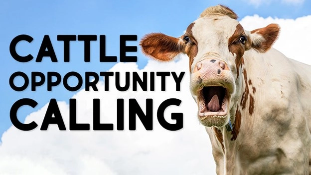 За три года до повышения фьючерса на живой скот!