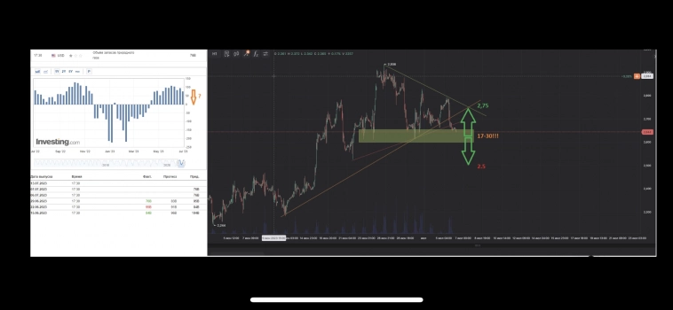 Могу ошибаться, но надо прям сейчас покупать газ!