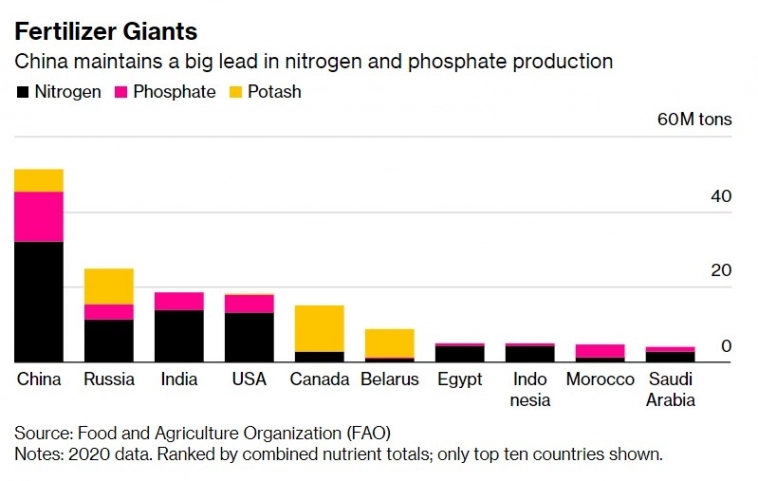 Россия и Белоруссия экспортируют почти четверти всех питательных веществ для сельскохозяйственных культур в мире - Bloomberg