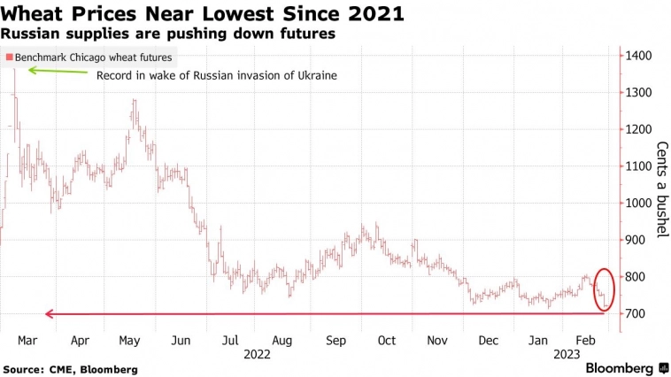 Мировые цены на пшеницу падают из-за роста российских поставок — Bloomberg