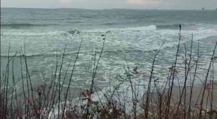 Азия. Среда.