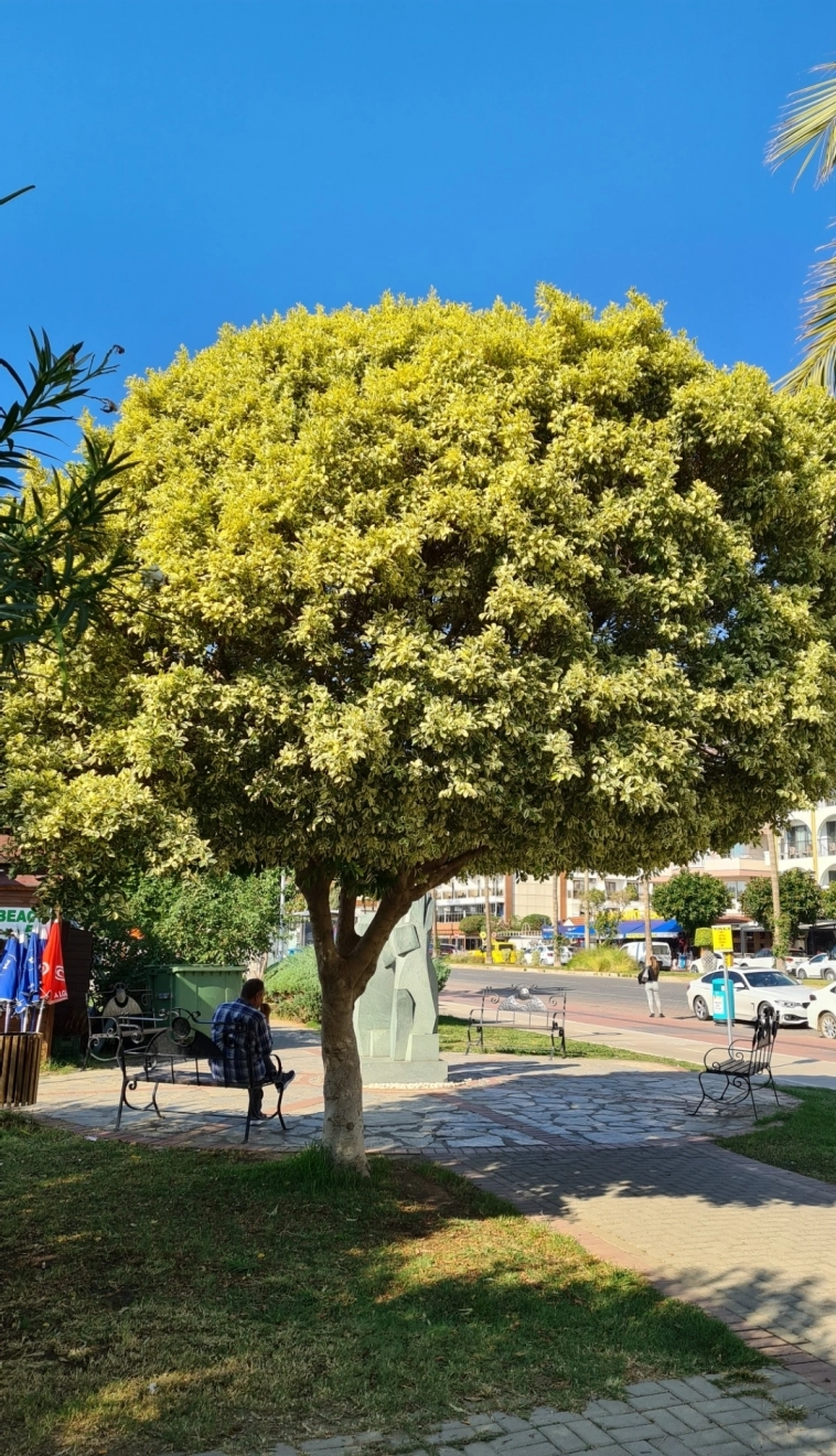 Азия. Пятница.