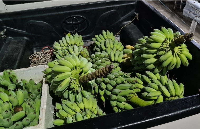 Азия. Понедельник.