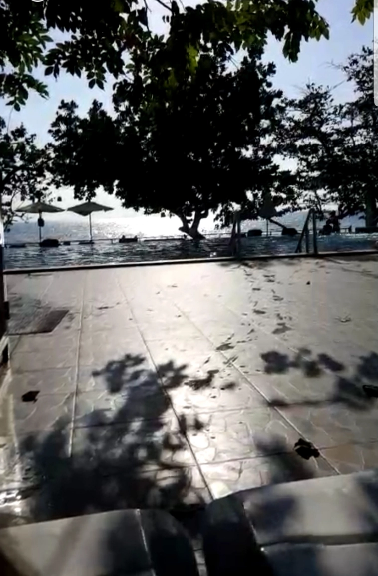 Азия. Среда.