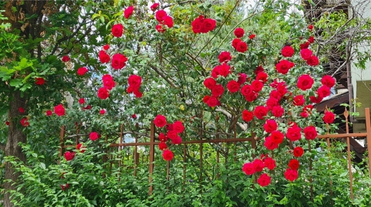 Азия. Понедельник. Азия. Понедельник.