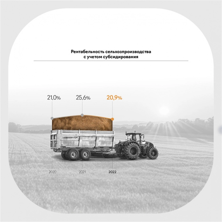 Что посеешь, то и пожнешь