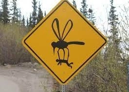 🔥Комариные истории. Часть 1 🔥 🔥Комариные истории. Часть 1 🔥