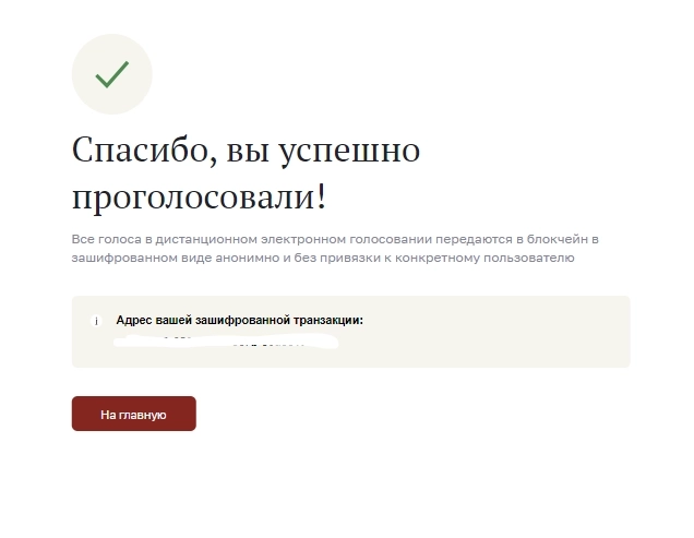 Как реализовано электронное голосование в Москве