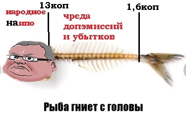 Мемошные новости