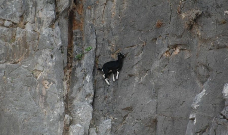 Стратегия «нишера»: почему конкуренция заставит компании подстраиваться лично под вас Стратегия «нишера»: почему конкуренция заставит компании подстраиваться лично под вас
