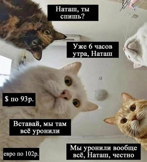 Индекс Московской биржи продолжает расти на ослаблении рубля Индекс Московской биржи продолжает расти на ослаблении рубля