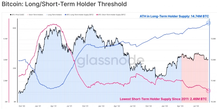 Время ходлеров: запасы краткосрочных держателей BTC на 12-летнем минимуме