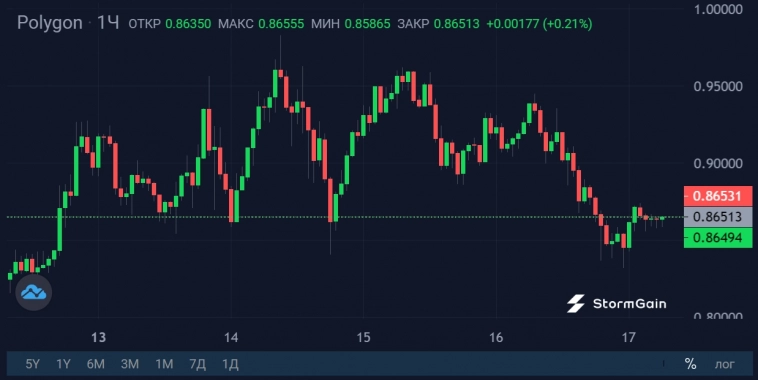 Ординалы врываются в Polygon: 16 млн транзакций за сутки