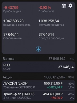 Здравствуйте, веду публичный портфель! :)