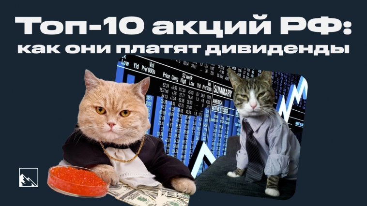 Топ-10 акций РФ: как они платят дивиденды