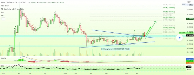 NKN - самый большой блокчейн в мире