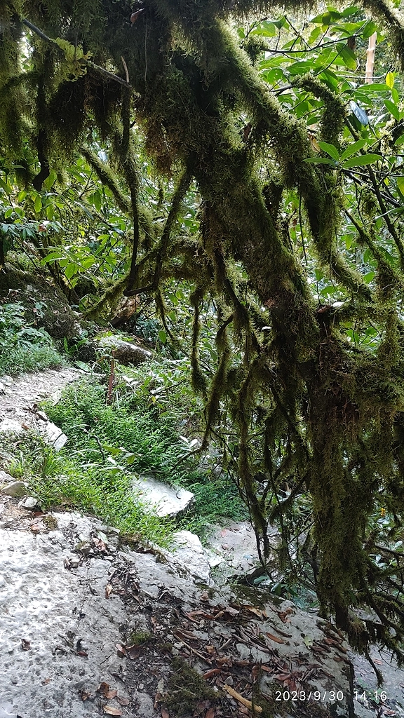 Новый поход в каньон Белые скалы.