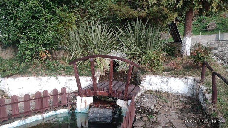 Небольшое путешествие и еще грибы))