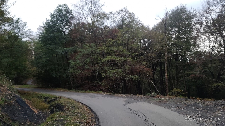 Перевели на трёхдневный режим работы, но я не отчаялся, поехал в лес!))