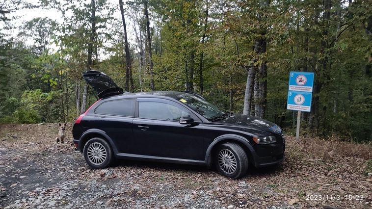 Перевели на трёхдневный режим работы, но я не отчаялся, поехал в лес!))