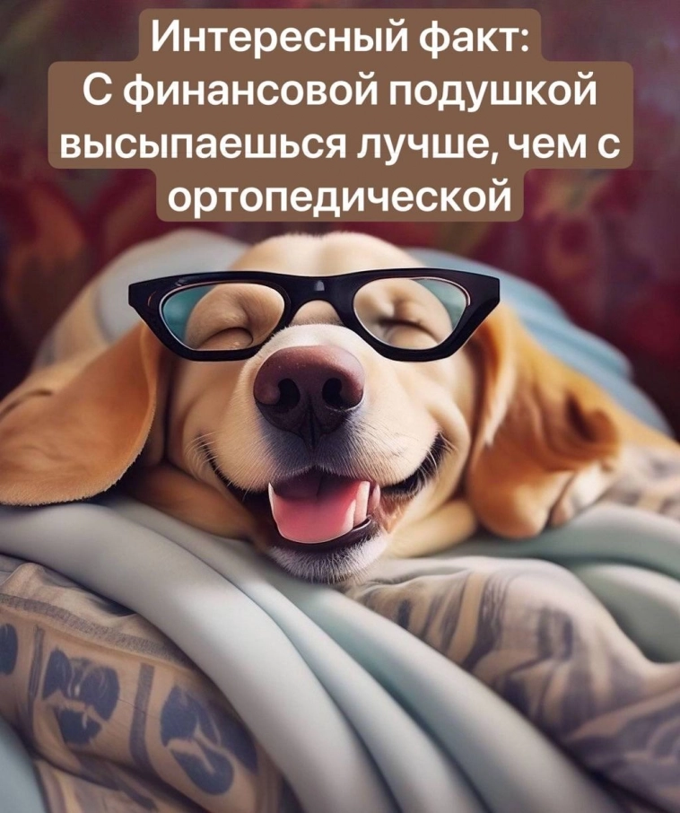Пятничный_мем совет от мудрой собаки 🐕