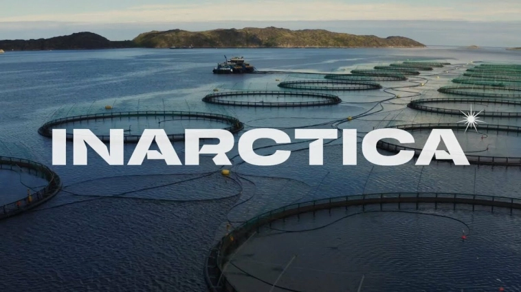 Объявленные дивиденды осени 2023 (сентябрь-октябрь)