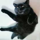 Анна Иванова