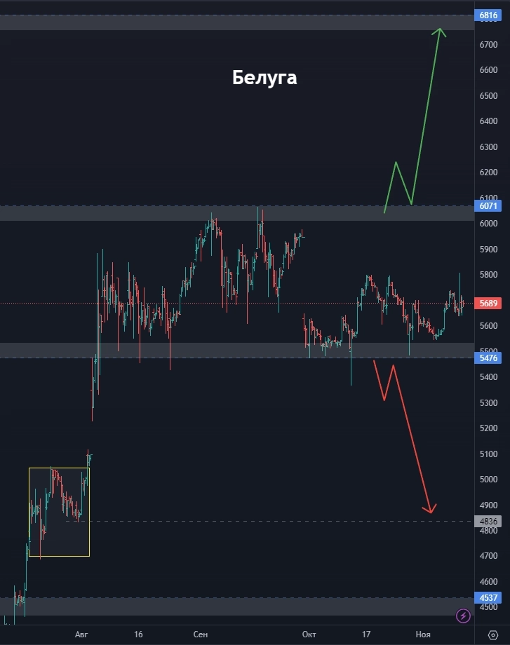 Белуга - ждём выстрел? Всё ли так плохо с МВидео? ФосАгро рвётся вверх? (цели по акциям)