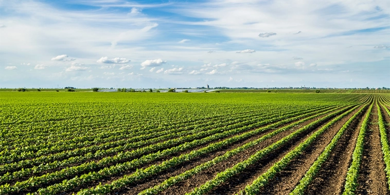 👉 Главные новости по рынку на 29.12.2023 👉 Главные новости по рынку на 29.12.2023