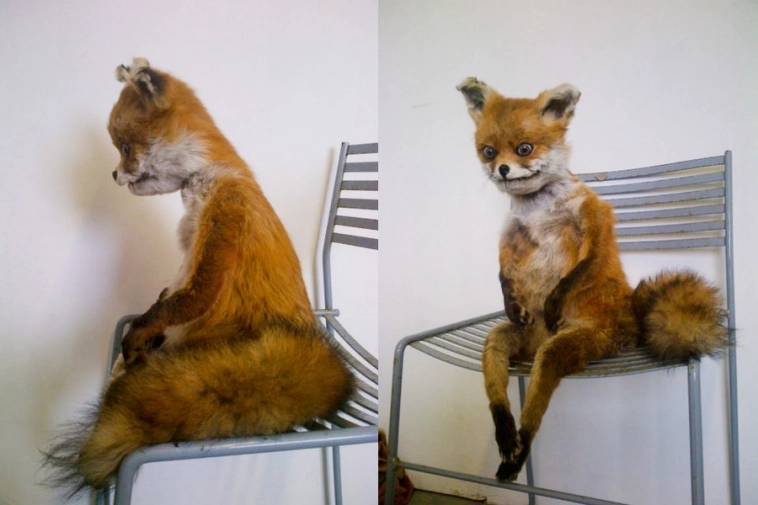 30 серебряников Иуда бы не утащил