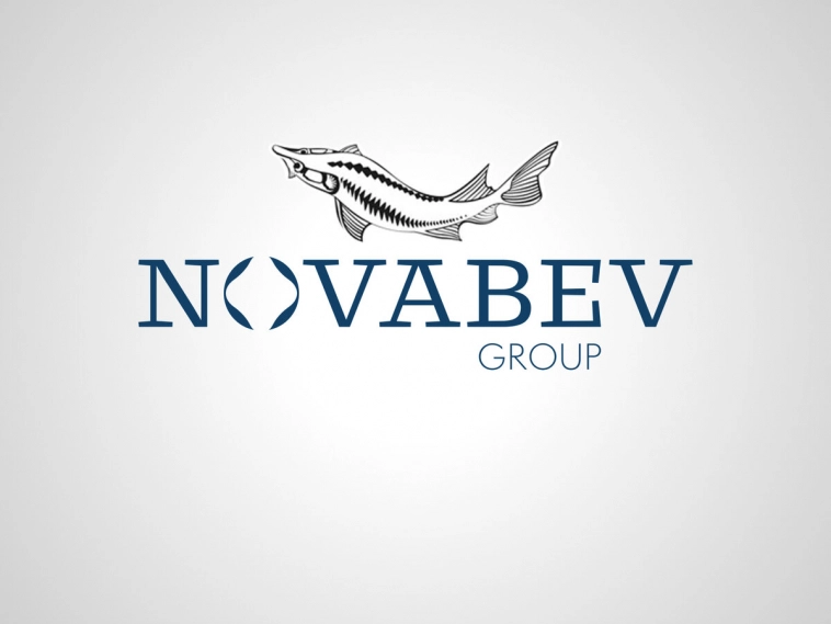 СКОЛЬКО акций Novabev Group (БЕЛУГА) купить чтобы получать 30 000 в месяц?