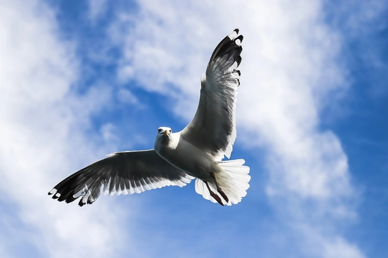 Паника плохой советчик😎 Паника плохой советчик😎