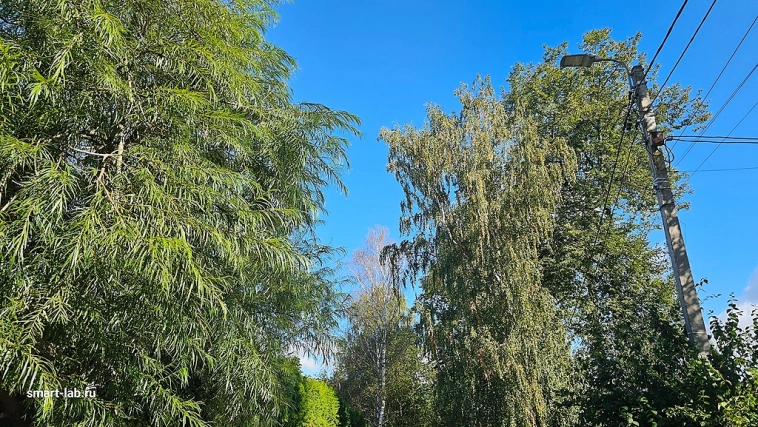 Волосы дыбом встают когда читаю ленту новостей и вот почему Волосы дыбом встают когда читаю ленту новостей и вот почему