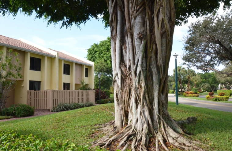 Как я жил в Пиндостане 11 лет назад и почему больше жить там не хочу?